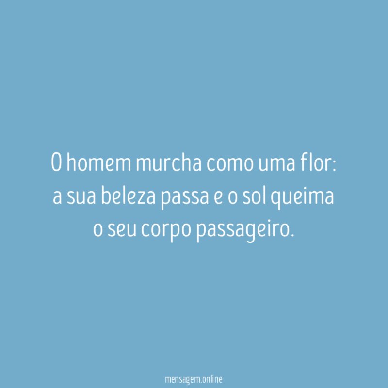 O homem murcha como uma flor