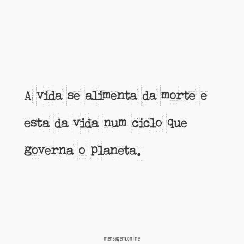 A vida se alimenta da morte e esta