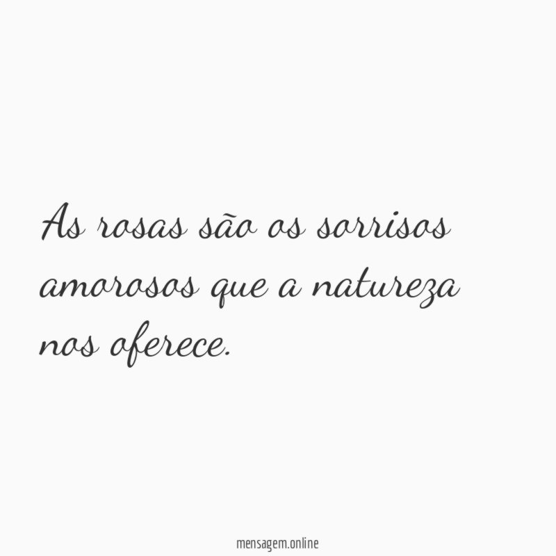 As rosas são os sorrisos amorosos que a natureza nos oferece