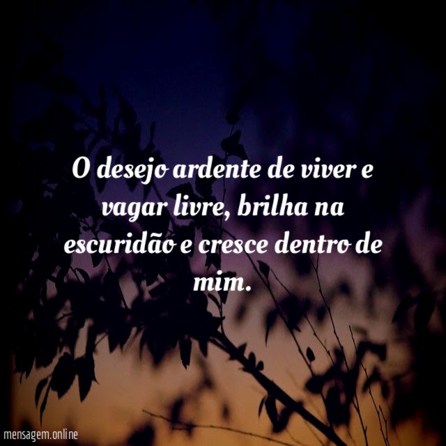 O desejo ardente de viver e vagar livre