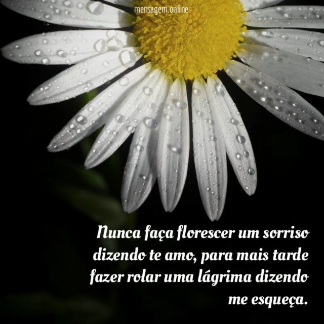 Nunca faça florescer um sorriso dizendo te amo