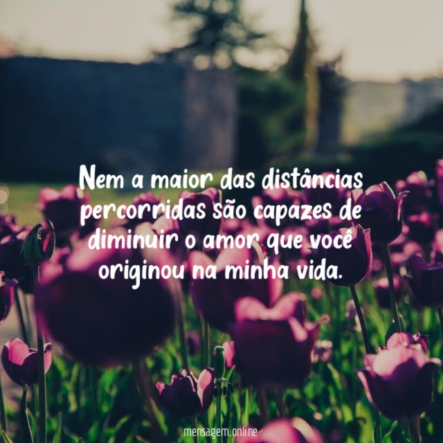 Nem a maior das dist ncias percorridas s