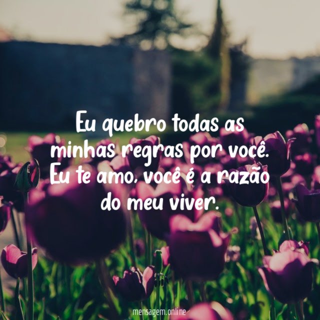Eu quebro todas as minhas regras por você