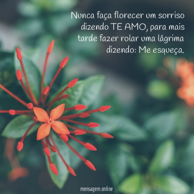 Nunca faça florecer um sorriso dizendo TE AMO