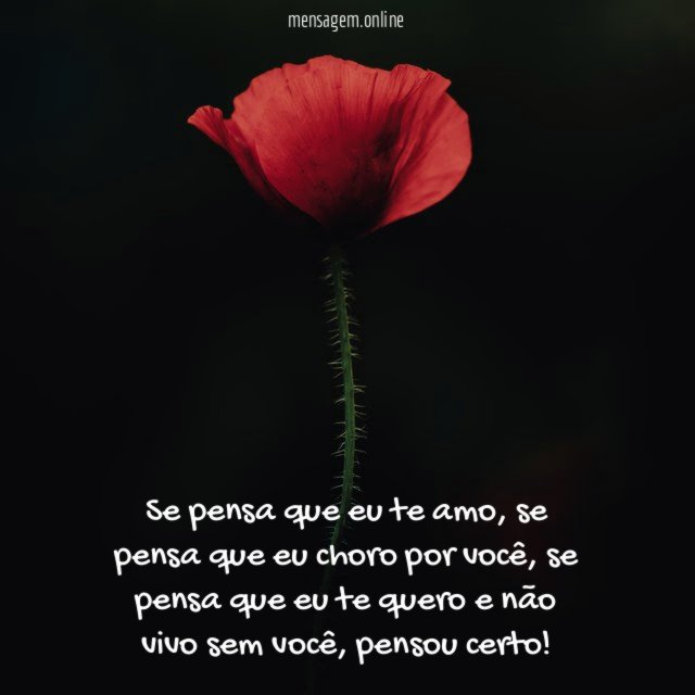 Se pensa que eu te amo