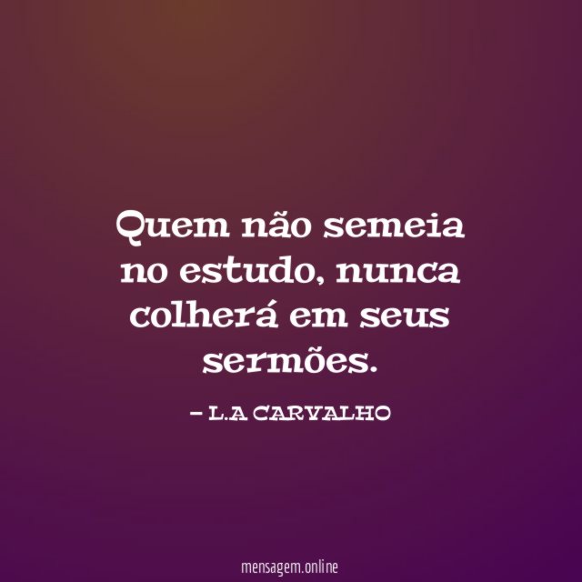 Quem não semeia no estudo