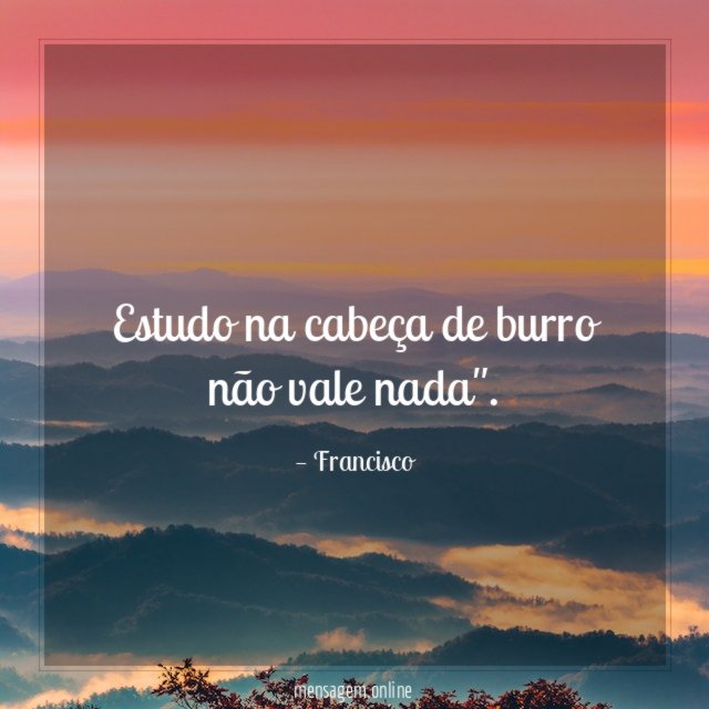 Estudo na cabeça de burro não vale nada"