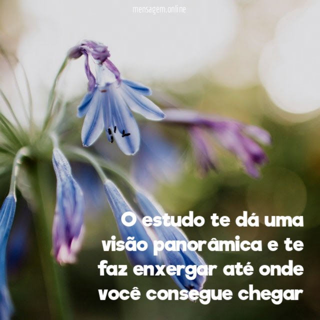O estudo te dá uma visão panorâmica