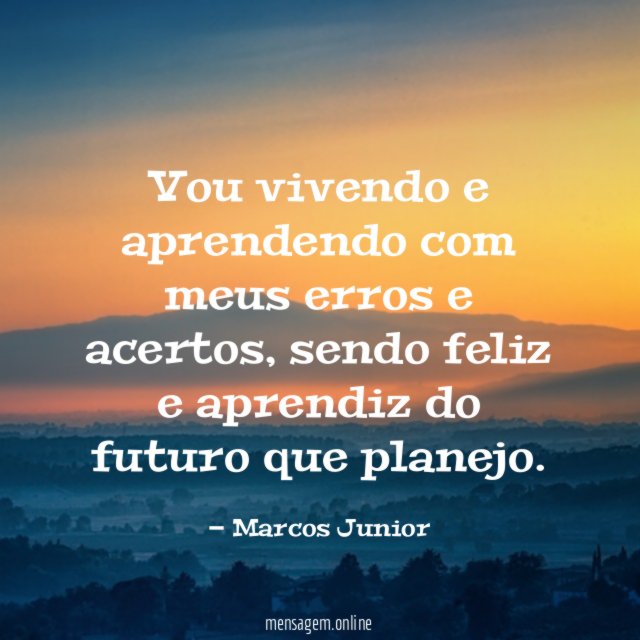 Vou vivendo e aprendendo com meus erros e acertos
