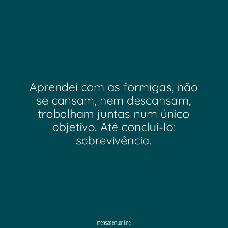 Aprendei com as formigas