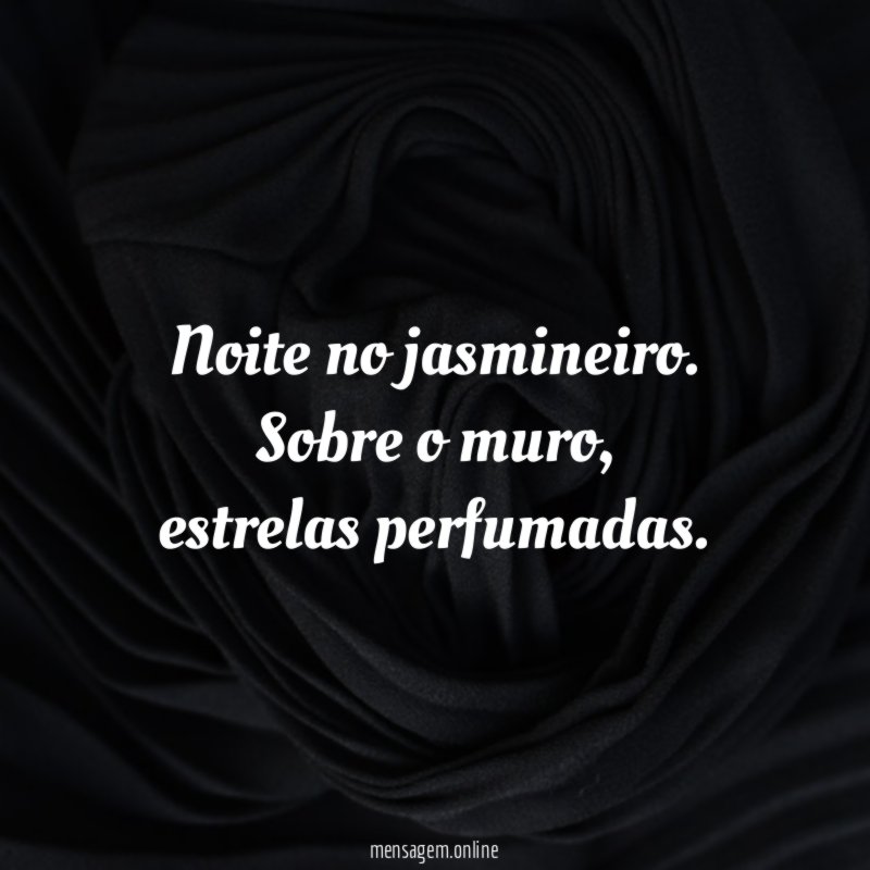 Noite no jasmineiro