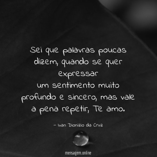 Sei que palavras poucas dizem