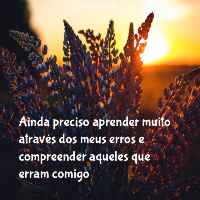 Ainda preciso aprender muito através dos meus erros
