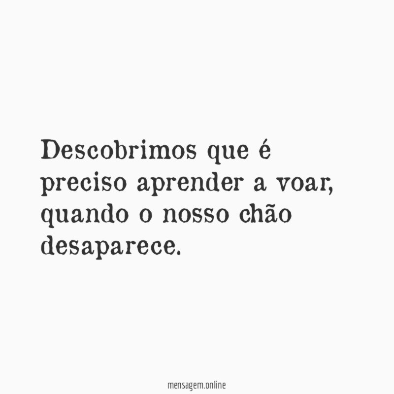 Descobrimos que é preciso aprender a voar