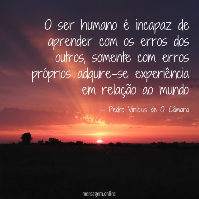 O ser humano é incapaz de aprender com os erros dos outros