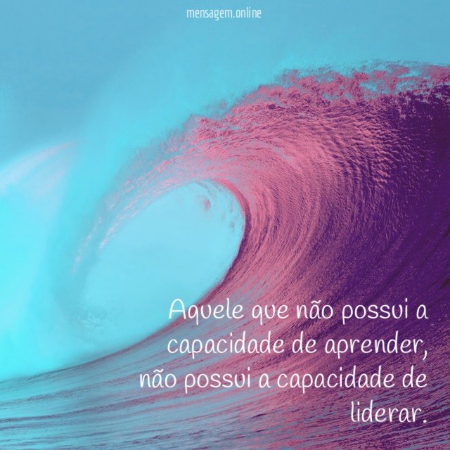 Aquele que não possui a capacidade de aprender
