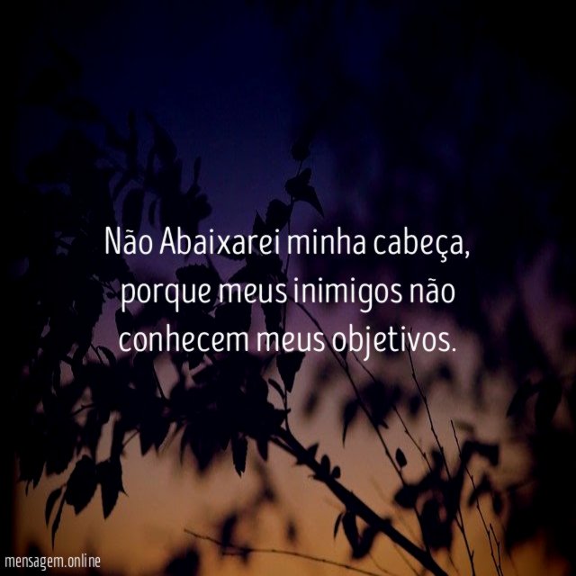 Não Abaixarei minha cabeça
