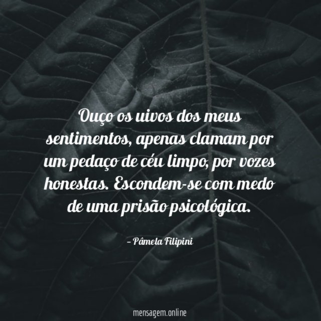 Ouço os uivos dos meus sentimentos