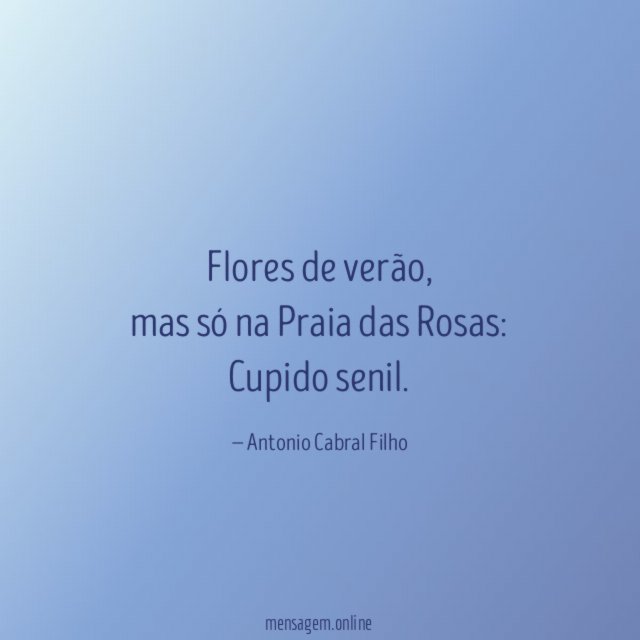 Flores de verão