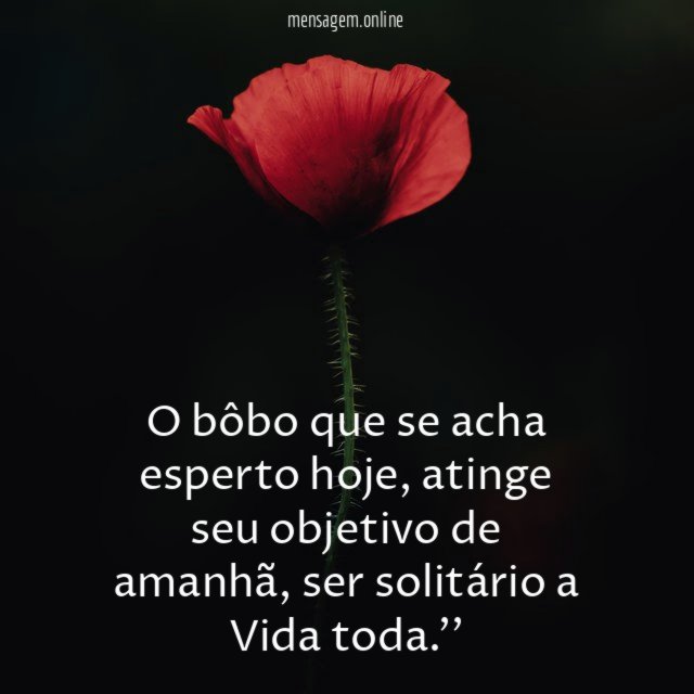 O bôbo que se acha esperto hoje