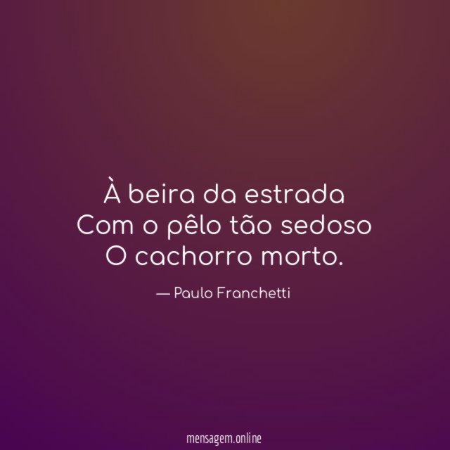 À beira da estrada Com o pêlo tão sedoso