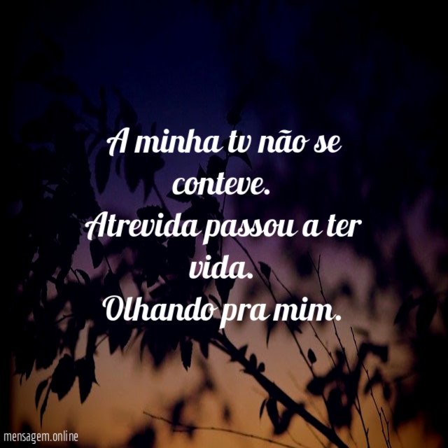 A minha tv não se conteve