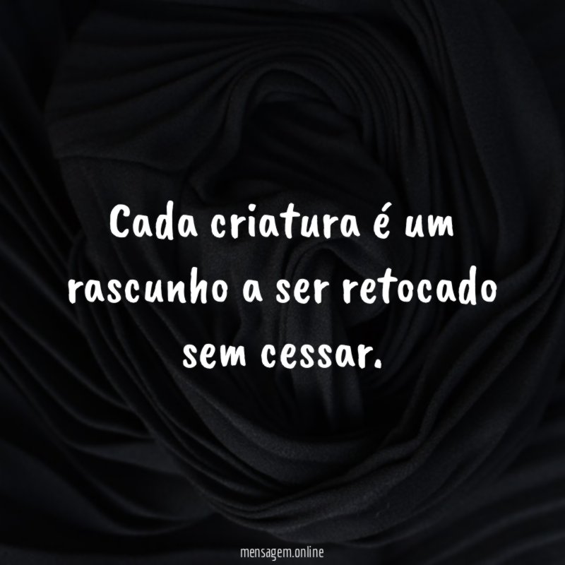 Cada criatura é um rascunho a ser retocado sem cessar