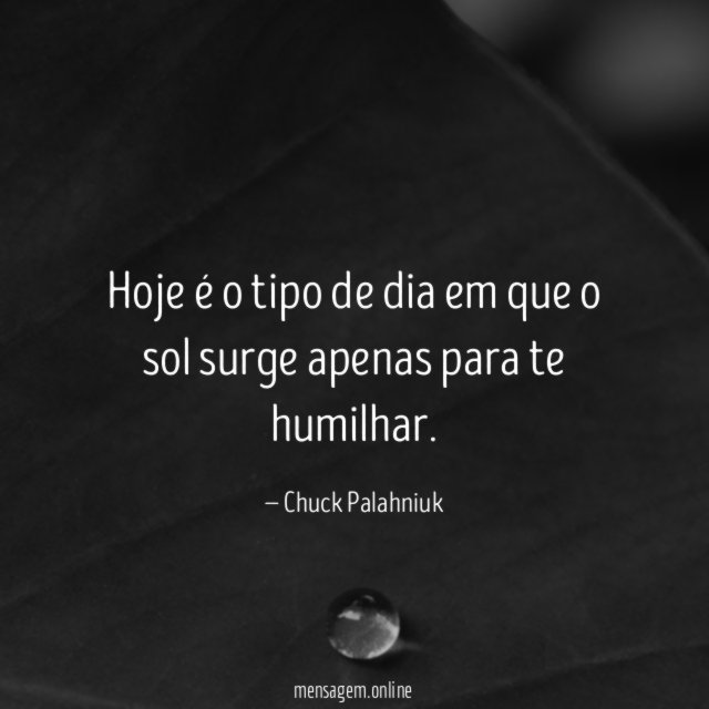 Hoje é o tipo de dia em que