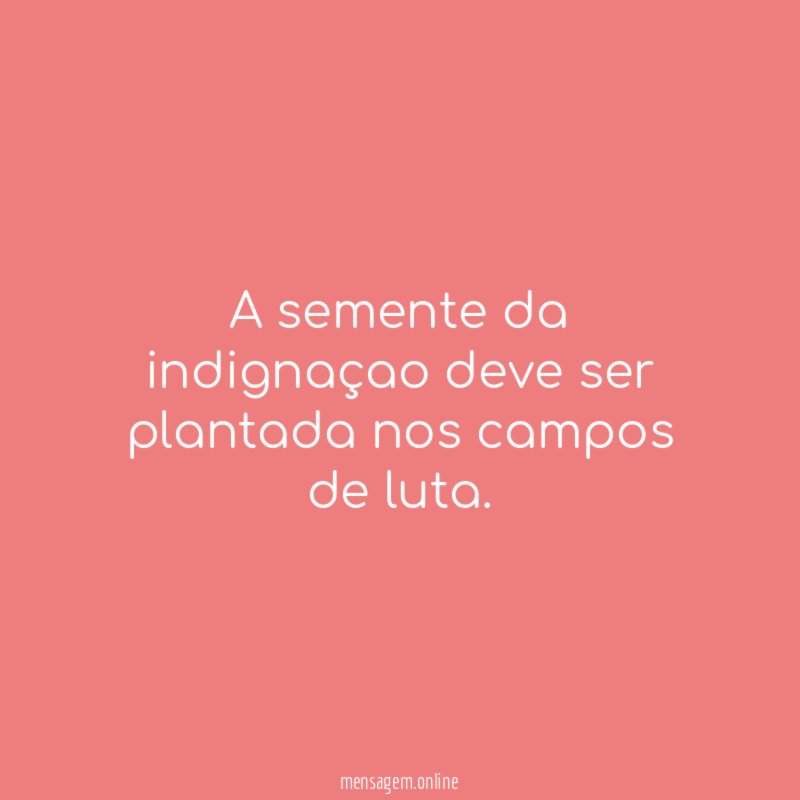 A semente da indignaçao deve ser plantada nos campos de luta