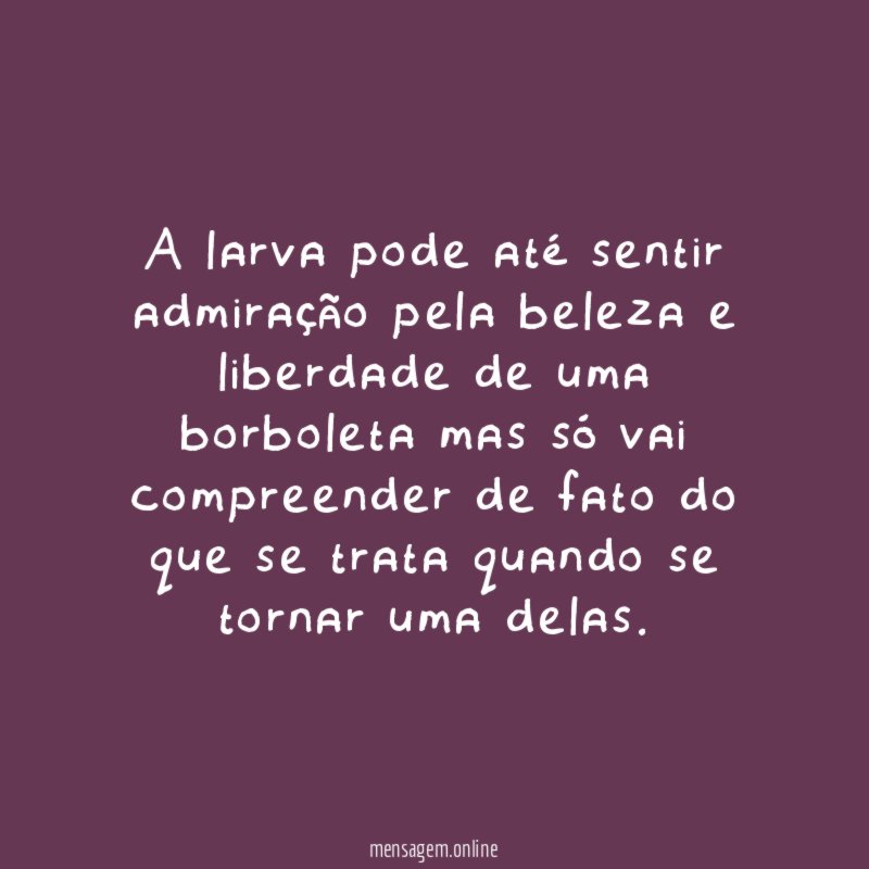 A larva pode até sentir admiração pela beleza