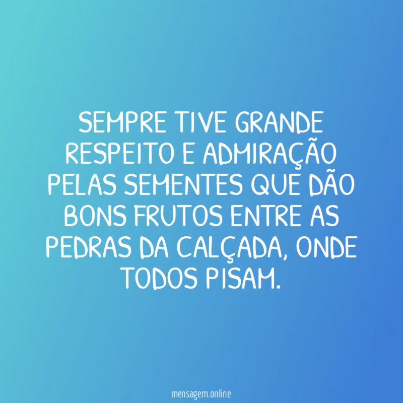 Sempre tive grande respeito e admiração pelas sementes