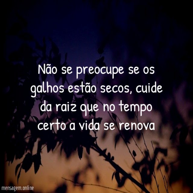 Não se preocupe se os galhos estão secos