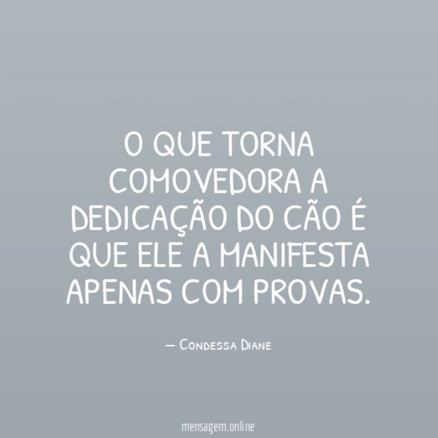 O que torna comovedora a dedicação do cão