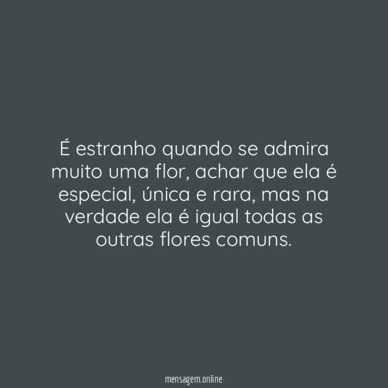 É estranho quando se admira muito uma flor