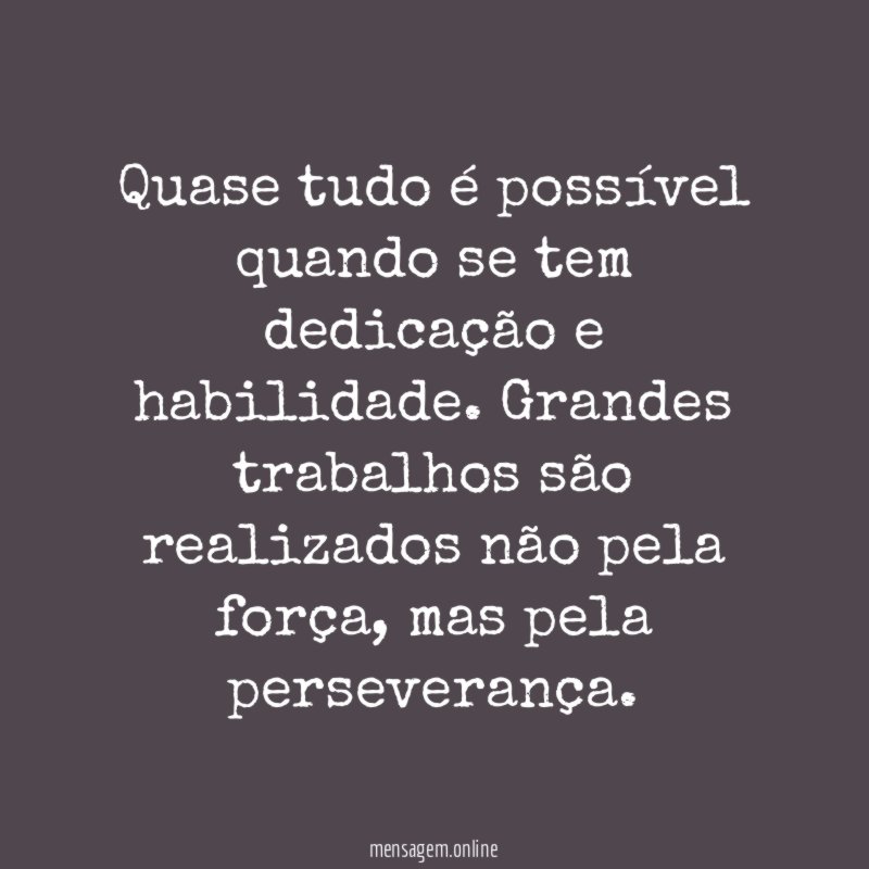 Quase tudo é possível quando se tem dedicação e habilidade