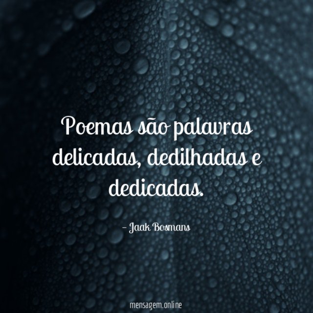 Poemas são palavras delicadas