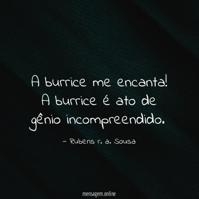 A burrice me encanta