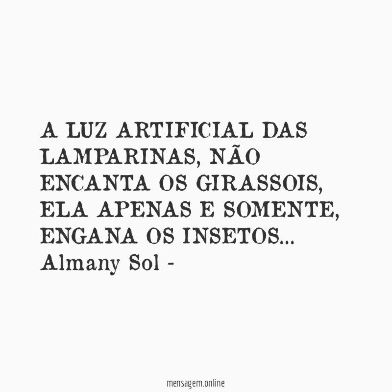 A LUZ ARTIFICIAL DAS LAMPARINAS, NÃO ENCANTA OS GIRASSOIS, ELA APENAS E SOMENTE, ENGANA OS INSETOS…