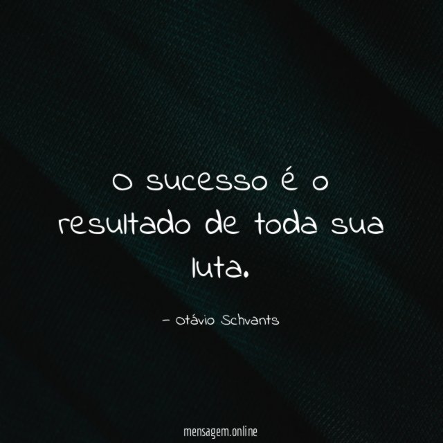 O sucesso é o resultado de toda sua luta