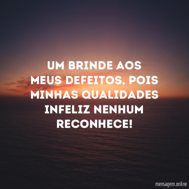 Um brinde aos meus defeitos