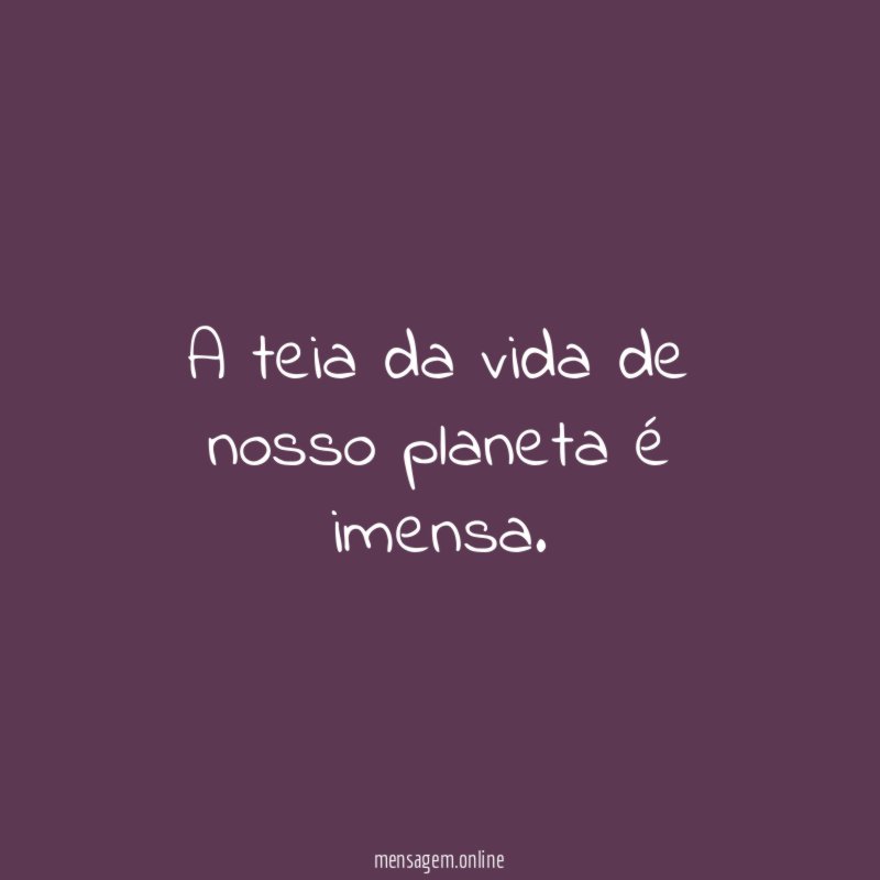 A teia da vida de nosso planeta é imensa