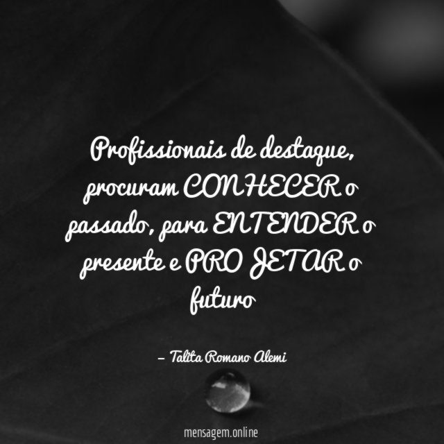 Profissionais de destaque