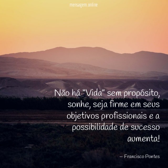 Não há “Vida” sem propósito