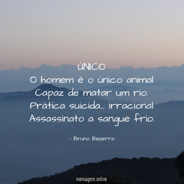 ÚNICO