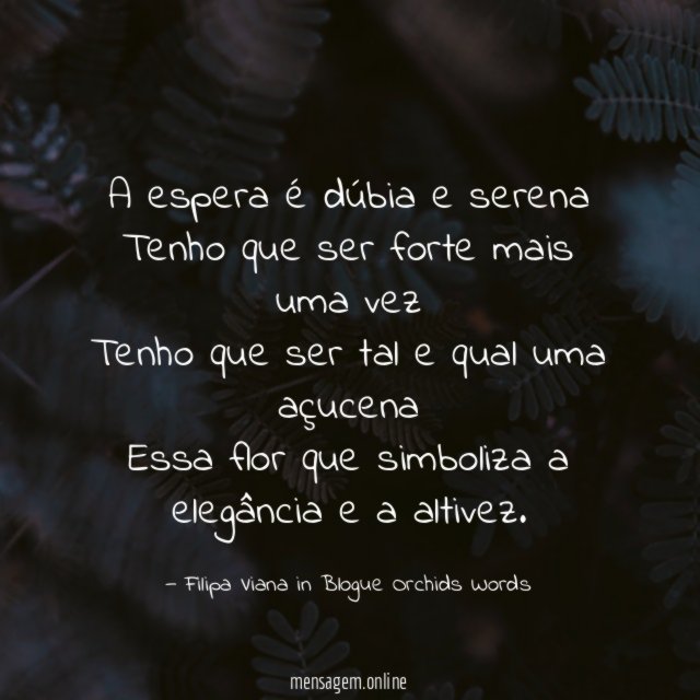 A espera é dúbia e serena Tenho que ser
