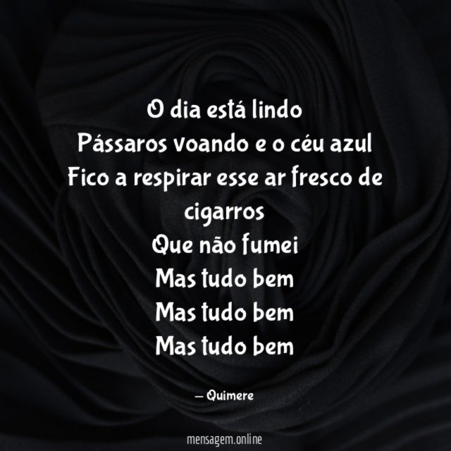 O dia está lindo Pássaros voando e o céu