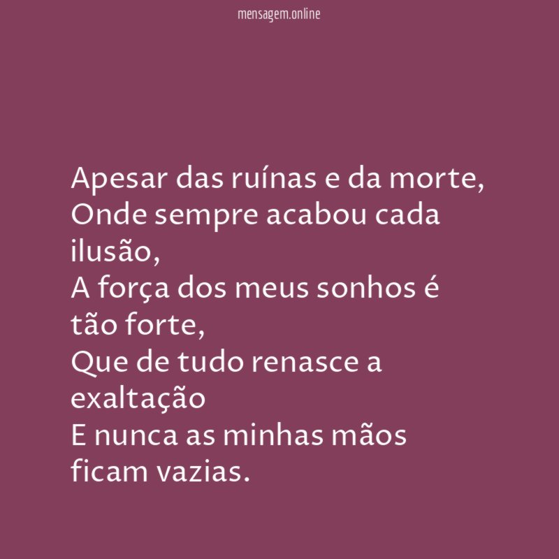 Apesar das ruínas e da morte