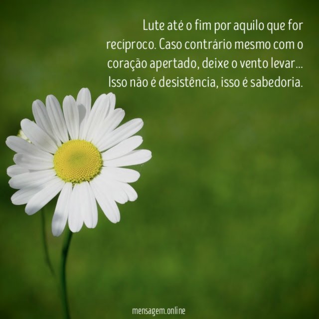 Lute até o fim por aquilo que for recíproco