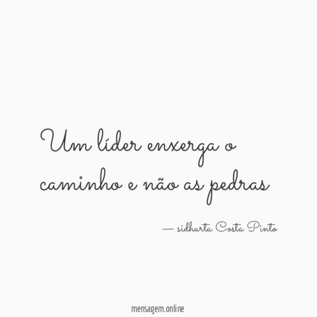 Um líder enxerga o caminho e não as pedras