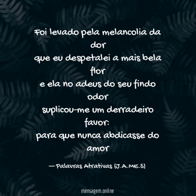 Foi levado pela melancolia da dor que eu despetalei